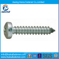 Stock Stainless Steel Self Tapping Screw (DIN7981)